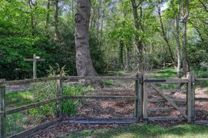 Photo 22- click for photo gallery